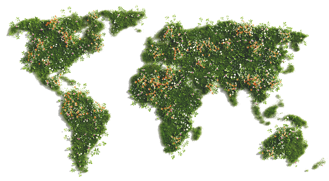 Solar World is different